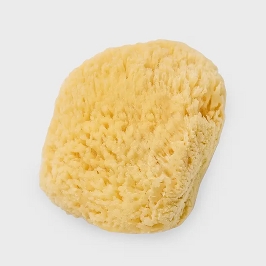 A natural yellow facial puff sponge, made from sea sponge, isolated on a white background.