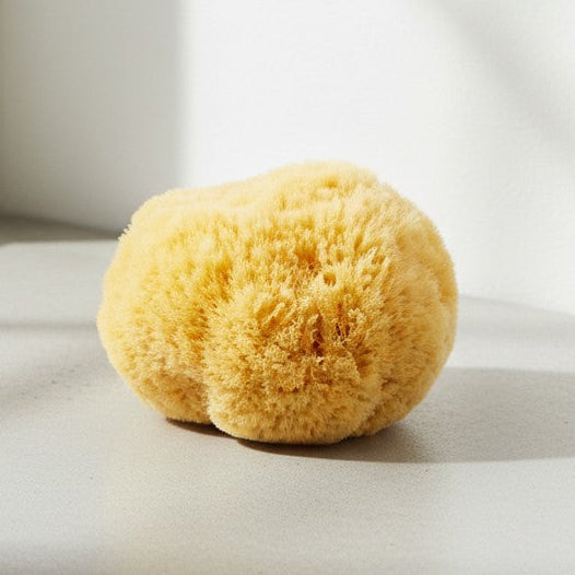 Yellow sponge on a light surface with a plant in the corner