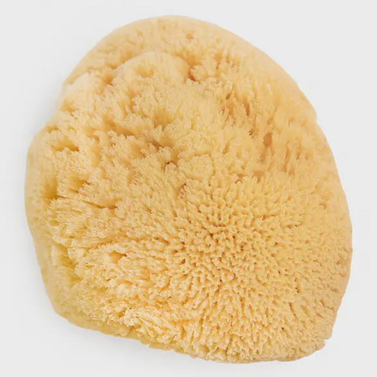 Natural Body Sponges