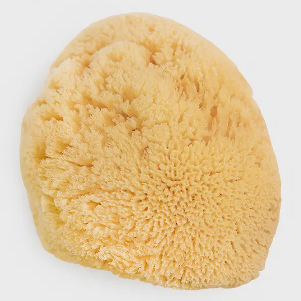 Natural Dead Sea Sponge – Lizzie's All-natural Products